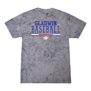 Color Rush Tee with Gladwin Baseball with Stripes